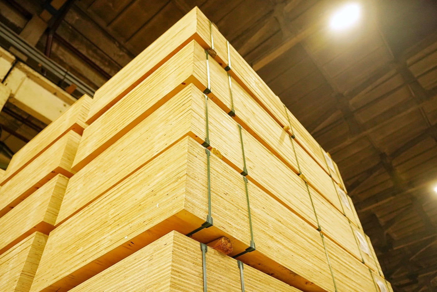 Фанера и каркас дома: с чем работать?