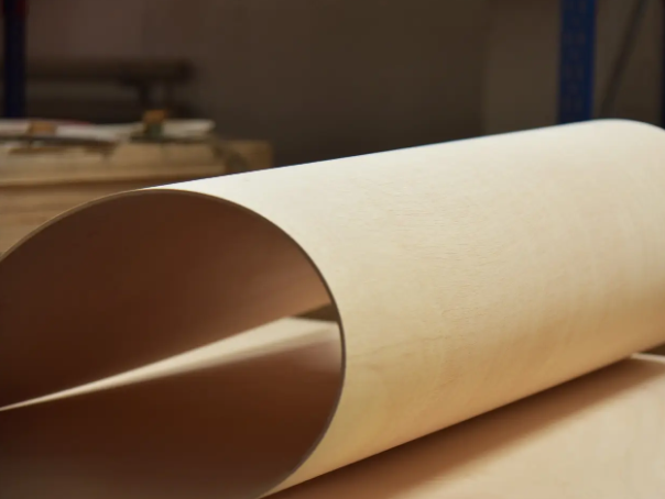 Гнущаяся фанера «Сейба»